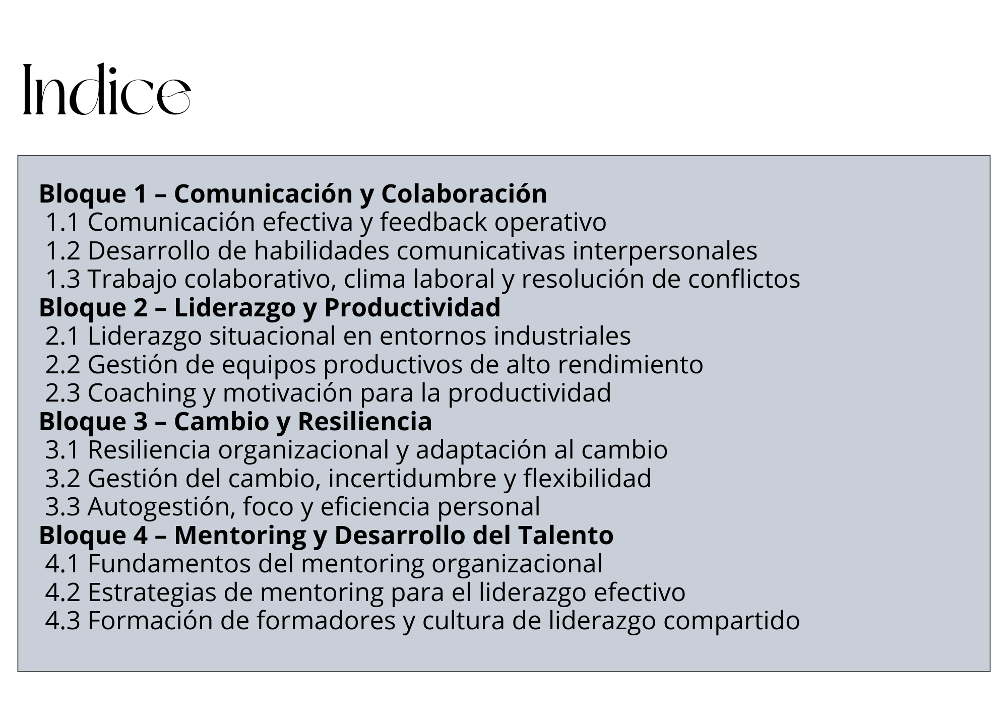 2025 propuesta INCOM Grupo Familiar de una empresa